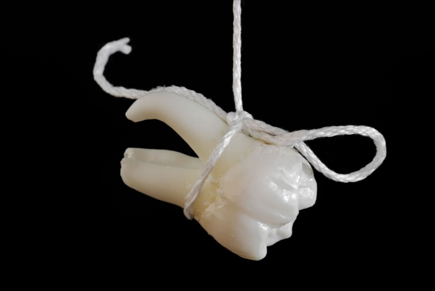dental services